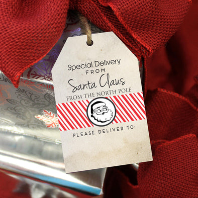 Reusable Christmas Gift Tags "Special Delivery from Santa" (Set of 5)