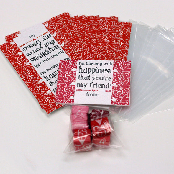 Valentine Cards with Goodie Bags (Set of 20) - "Bursting with Happiness"