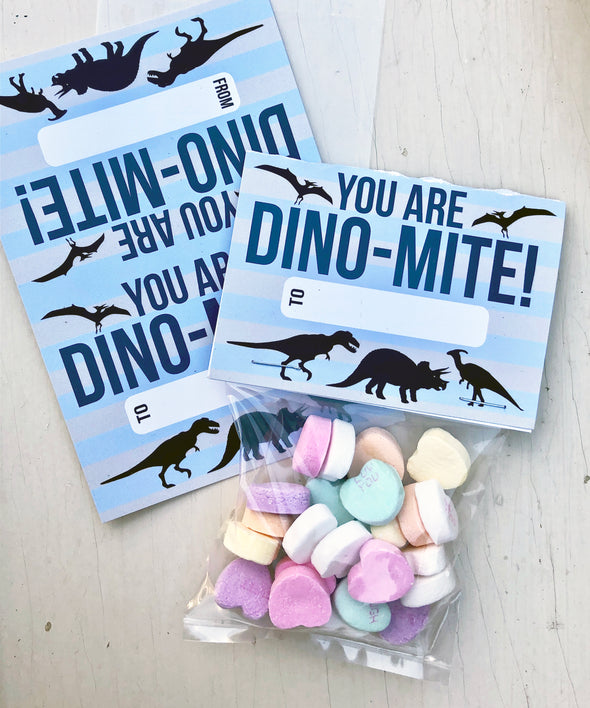 Valentine Cards with Goodie Bags (Set of 20) - "Dino Mite"