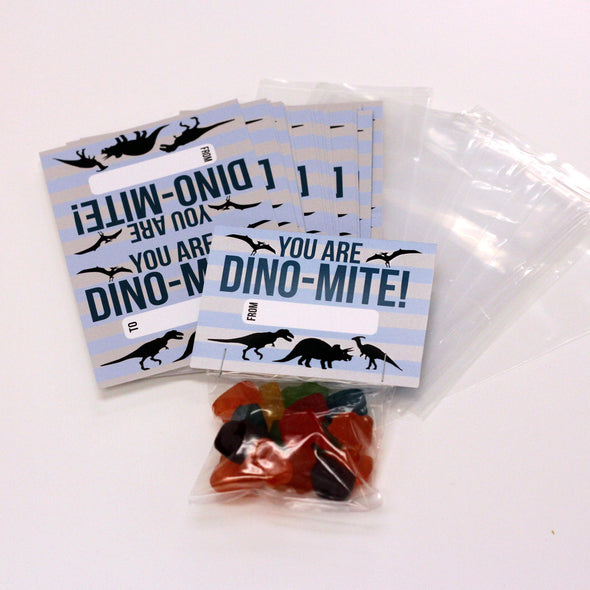 Valentine Cards with Goodie Bags (Set of 20) - "Dino Mite"